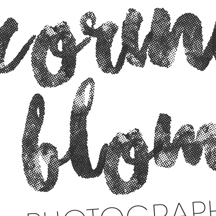 Dith Design – Vormgeving Emmeloord
