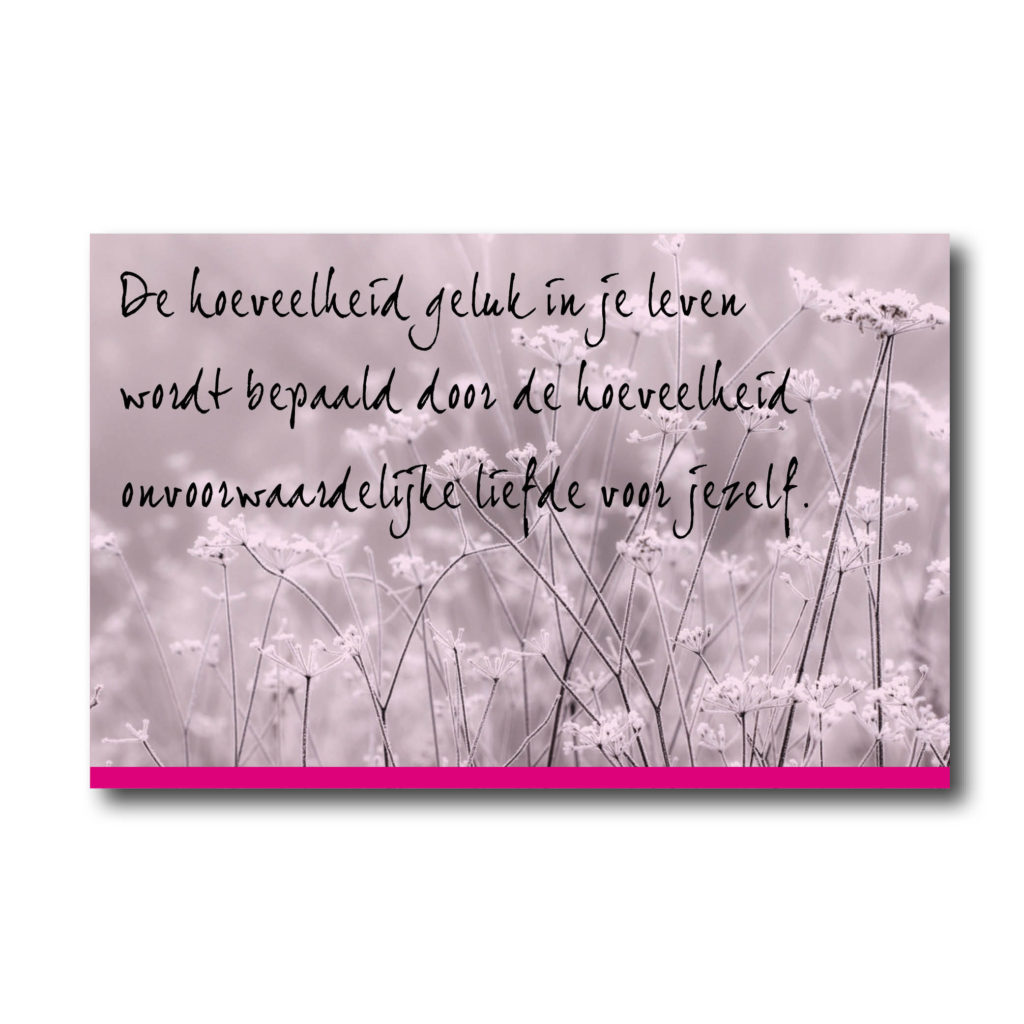 Dith Design – Vormgeving Emmeloord