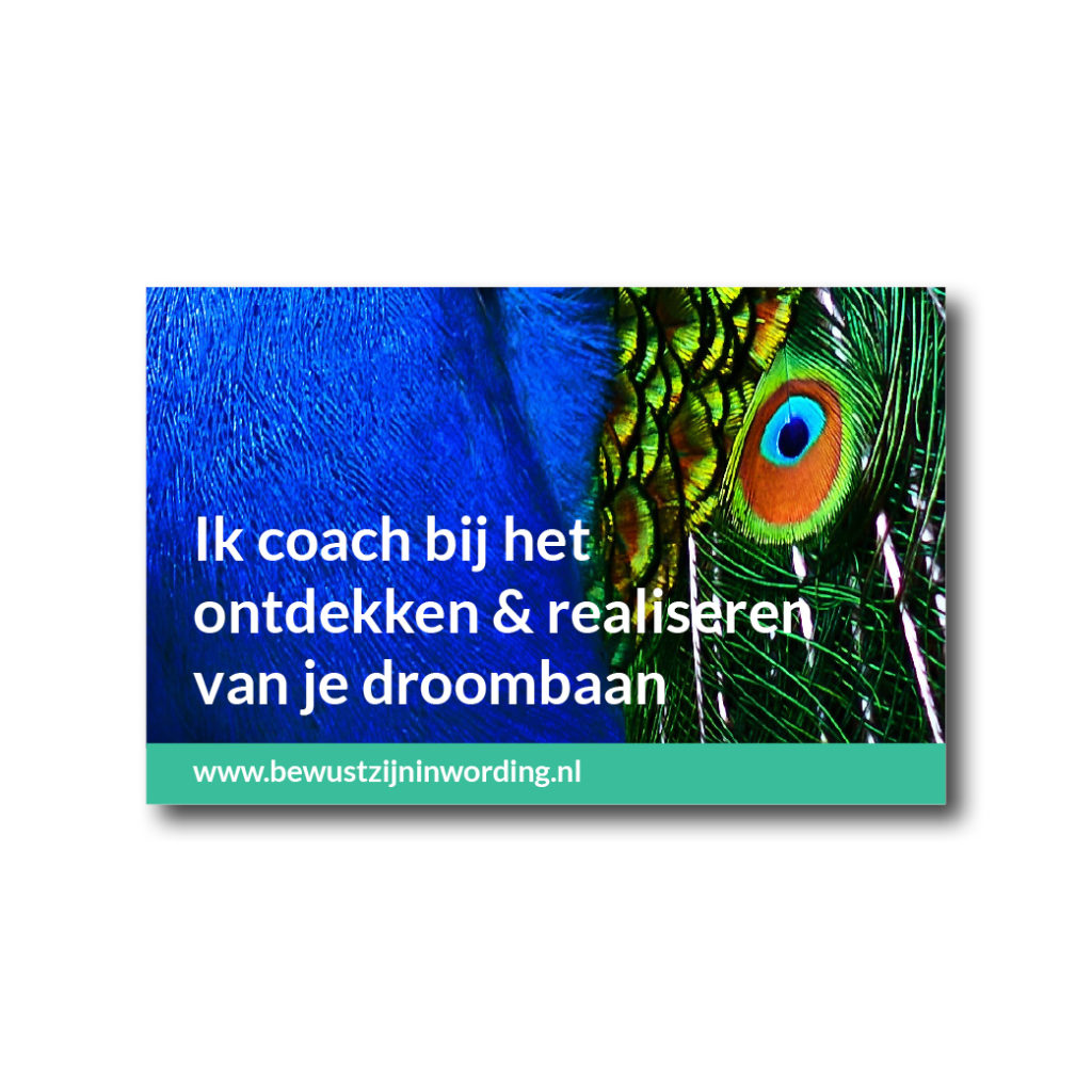 Dith Design – Vormgeving Emmeloord