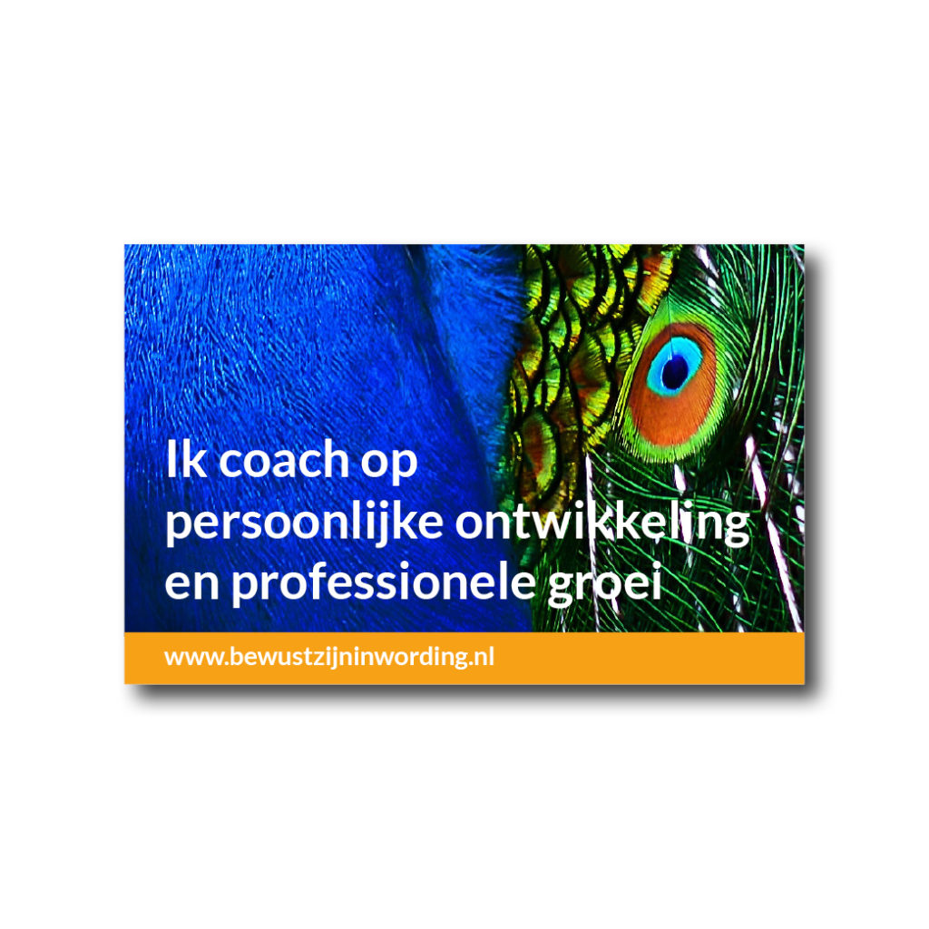 Dith Design – Vormgeving Emmeloord