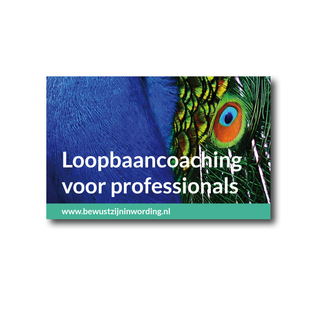 Dith Design – Vormgeving Emmeloord