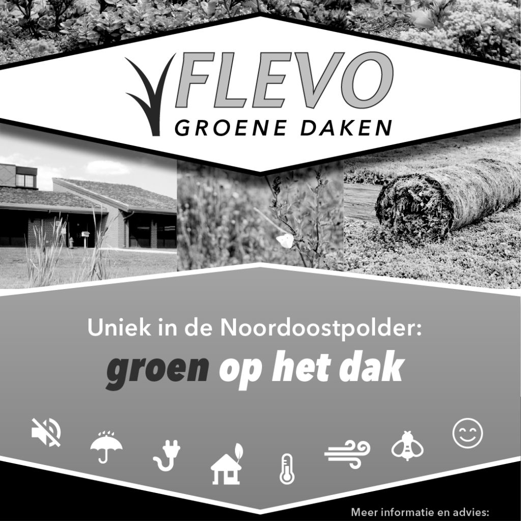 Dith Design – Vormgeving Emmeloord
