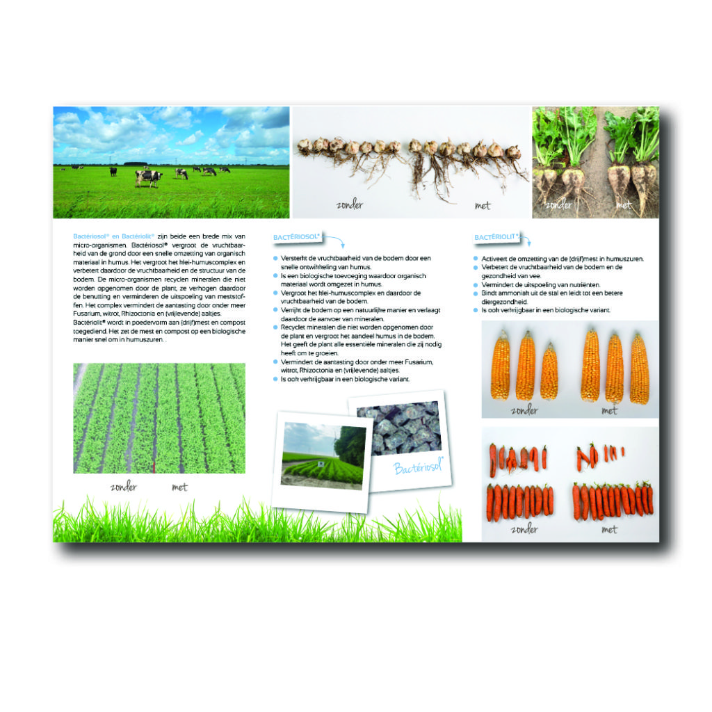 Dith Design – Vormgeving Emmeloord