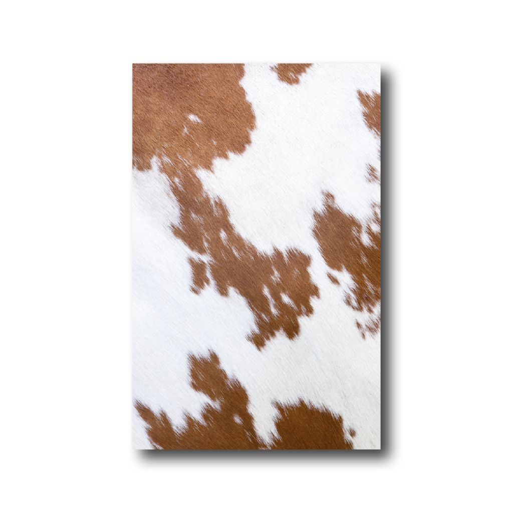Dith Design – Vormgeving Emmeloord