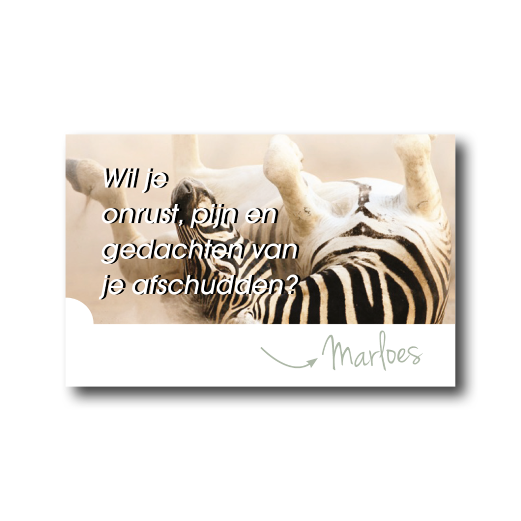 Dith Design – Vormgeving Emmeloord