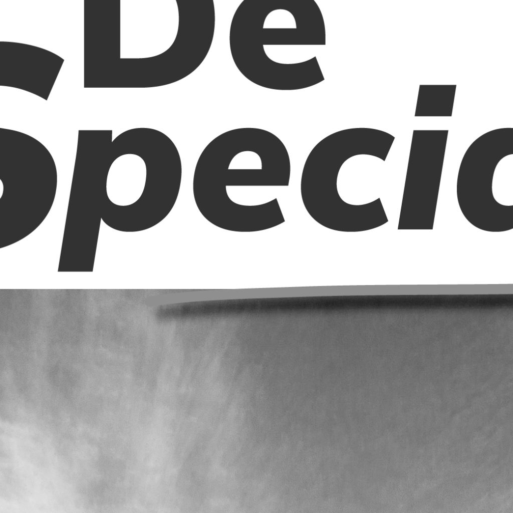 Dith Design – Vormgeving Emmeloord